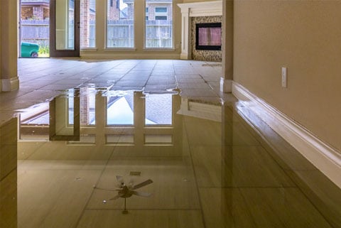 water damage restoration steps