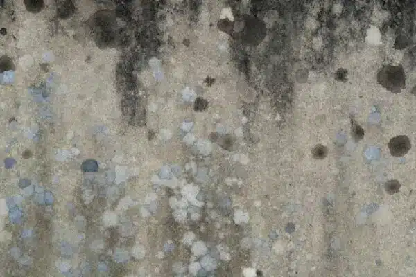  sign of water damage