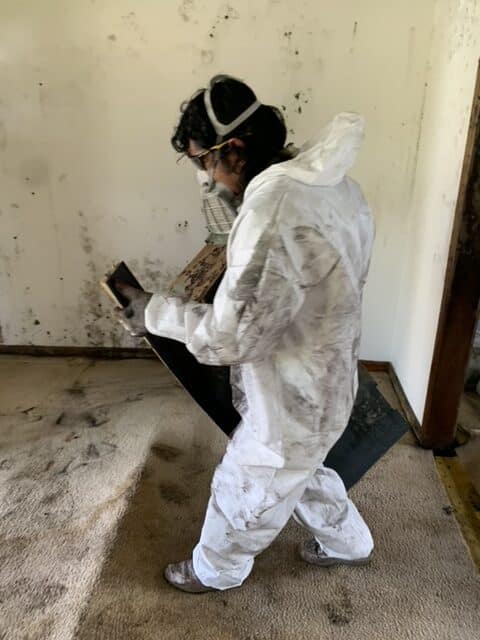 best way to clean up flooded basement