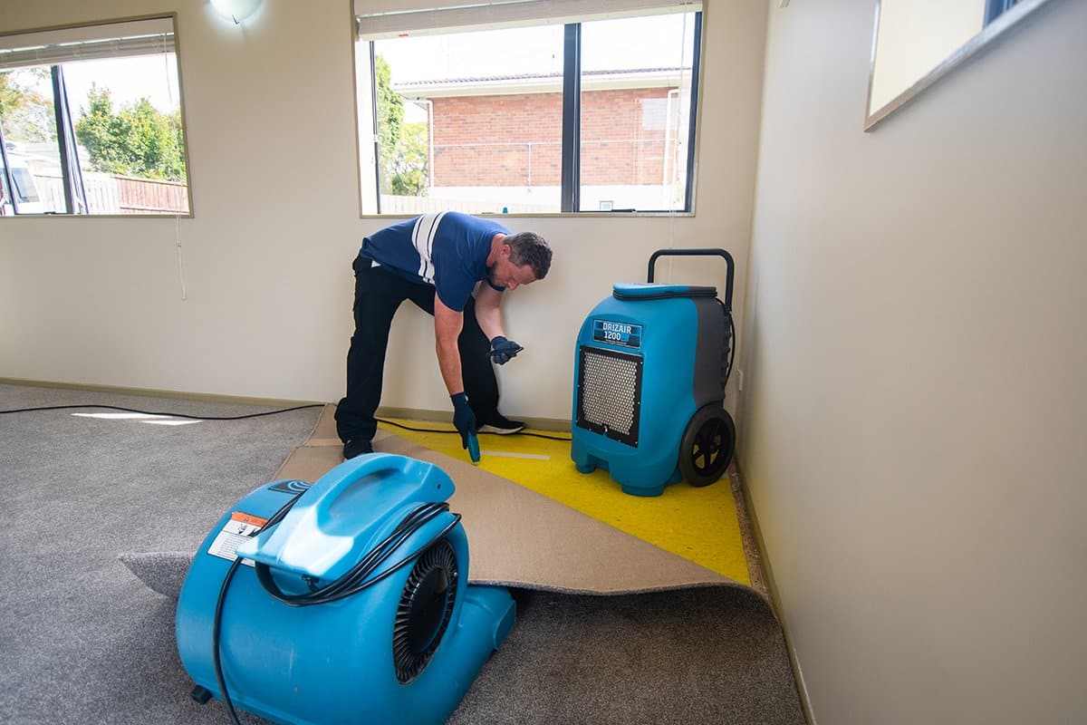 Carpet and flooring restoration service